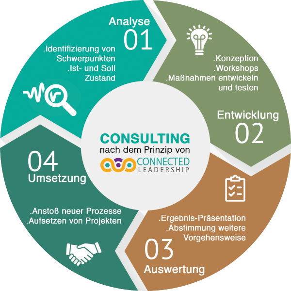 ibrahim-evsan-consulting-600x600